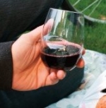 Govino Wine Glass 80670